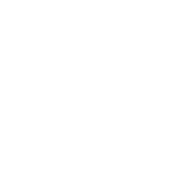 model citizen Logo